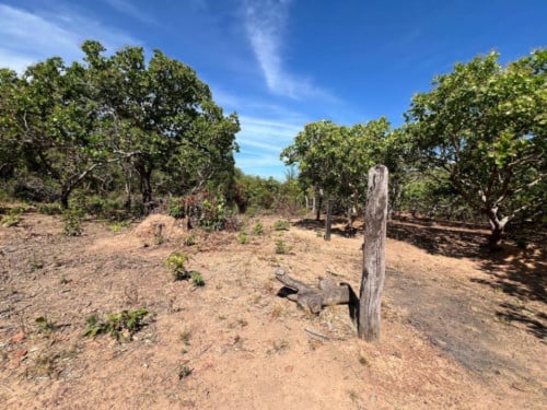 🏦Land Available for Urgent Sale at a Special Price (Negotiable).