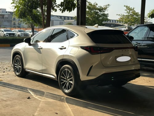 🚘 2022 LEXUS NX250 Full Options
