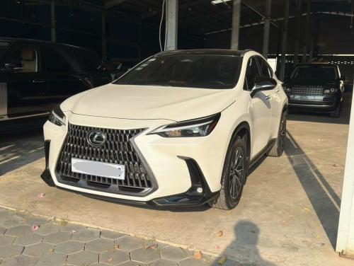 🚘 2022 LEXUS NX250 Full Options