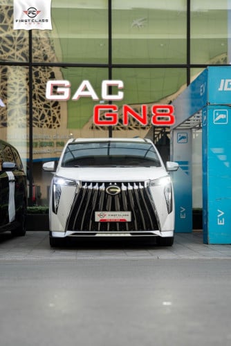 🚘​ GAC GN8 Black Edition vs Master Option