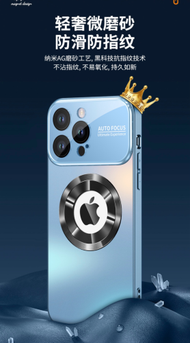 Case 17 Pro