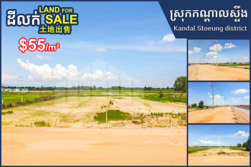 Land for sale (38x80) along 50m wide road, Trapeng Veng commune