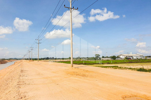 Land for sale (38x80) along 50m wide road, Trapeng Veng commune