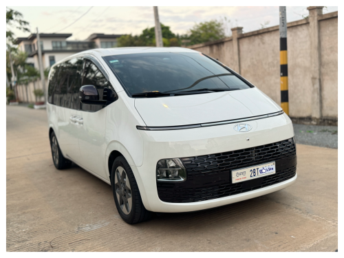 Starie 2022 vip 2BT PP 中文