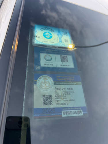 Starie 2022 vip 2BT PP 中文
