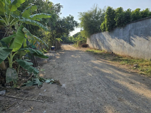 ដីលក់បន្ទាន់ធនាគារ