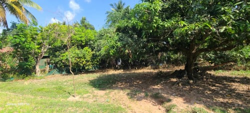 ដីភូមិ មានមនុស្សនៅអូអរ ជិតផ្លូវជាតិលេខ៦