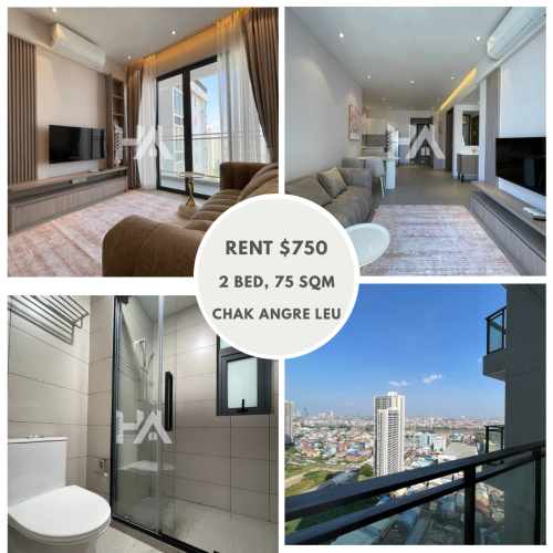 Price $750 Condo 2 Bedroom for rent In Tonle bassac !