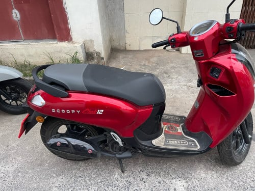 Scoopy for sale
