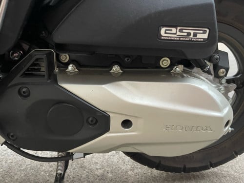 Scoopy for sale