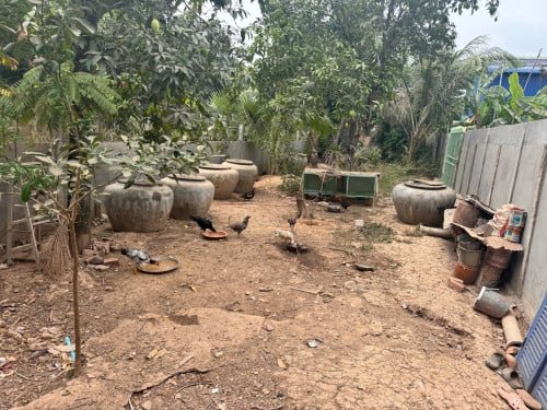 ផ្ទះលក់​ បីខ្នង​  បែប​ ខ្មែ​  លេីឈឺ​  ក្រោមថ្ម  ផ្លង់រឹង​