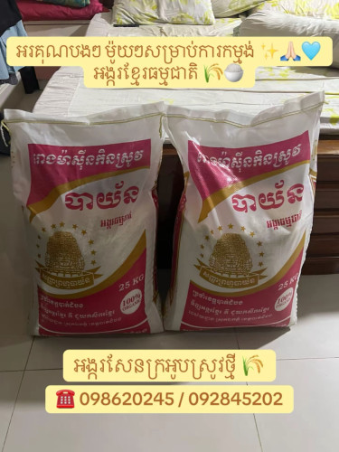 អង្ករសែនក្រអូប ស្រូវថ្មី បាត់ដំបង