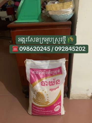 អង្ករសែនក្រអូប ស្រូវថ្មី បាត់ដំបង
