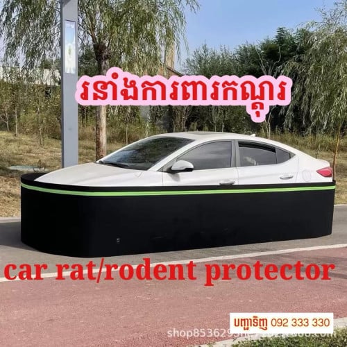 រនាំងកណ្តុរអាមេរិក