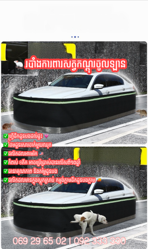 រនាំងកណ្តុរអាមេរិក