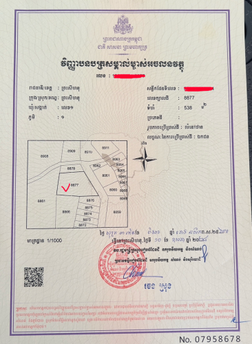 ដីសម្រាប់ជួល | ទីតាំងល្អសម្រាប់ធ្វើឃ្លាំង 350$