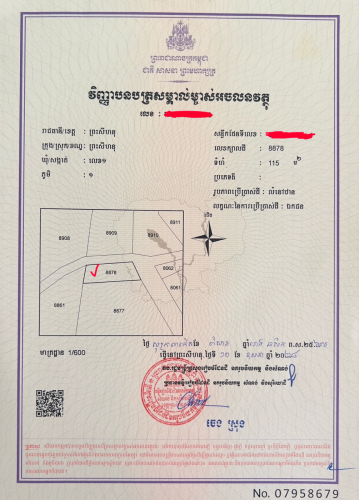 ដីសម្រាប់ជួល | ទីតាំងល្អសម្រាប់ធ្វើឃ្លាំង 350$