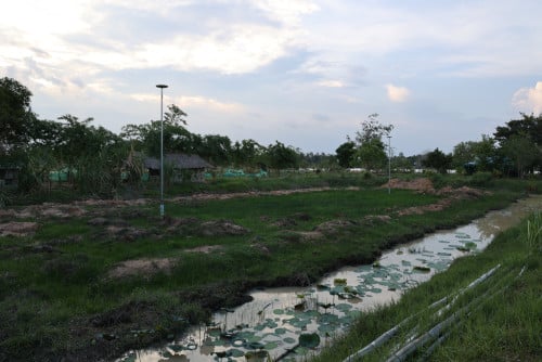 ត្រូវការលក់ដីចំការមួយកន្លែង/我需要出售我的农田/I need to sell my farm lands-ប្លង់រឹង/硬产权/hard title