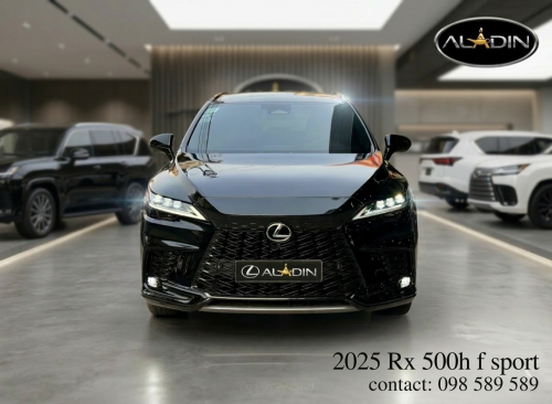 2025 Rx 500h