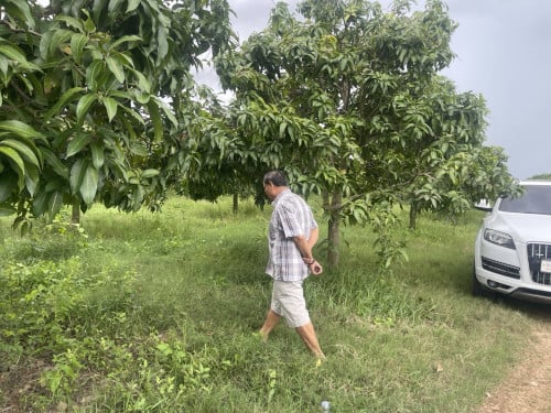 Land size 3.9 ha for sale near Preaek Aeng market