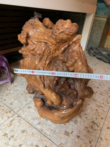 ពកដើមមៀន