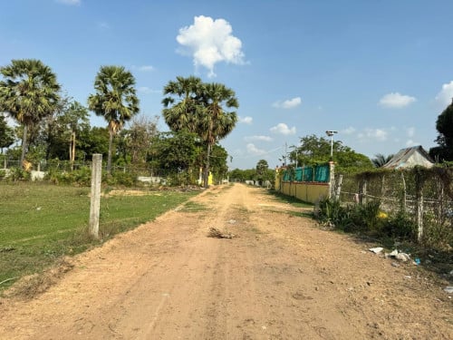 ដីលក់ 90$/sqm ក្រោយសាលាកូរ៉េផ្លូវកប់ស្រូវ ក្រោយទីផ្សារ