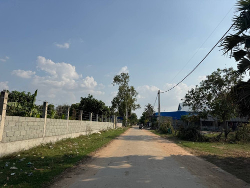 ដីលក់ 90$/sqm ក្រោយសាលាកូរ៉េផ្លូវកប់ស្រូវ ក្រោយទីផ្សារ