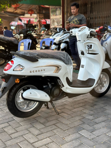 វៃដូរបង់រំលស់HONDA SCOOPY ឆ្នាំ2026ប្រេីសោរថ្មីកេសក្រុមហ៊ុន100%