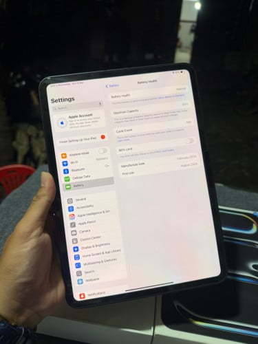 iPad Pro 11Inh M4 256 Sim WiFi