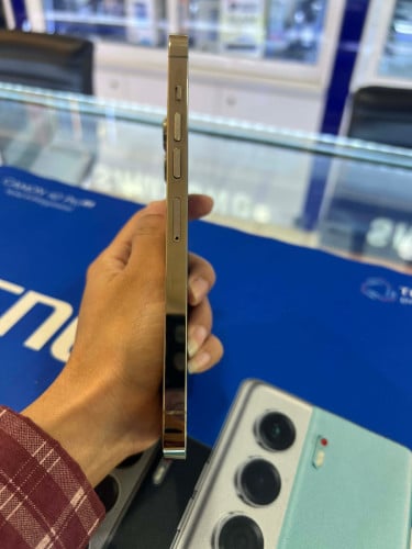 iPhone 13pro max