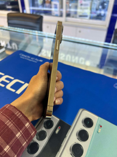 iPhone 13pro max