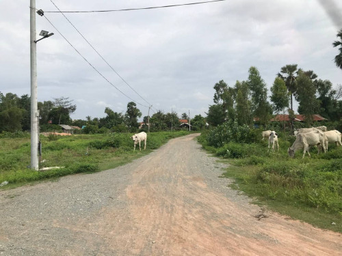 Land for sale 土地出售 / Sell Price 出售价: 40,000$ (Can negotiation)