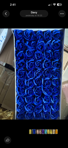 ផ្កាសាប៊ូ