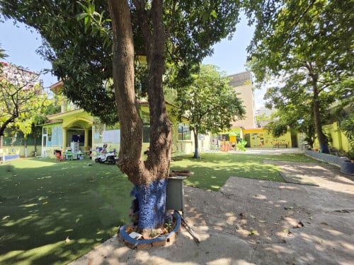 ដី ផ្ទះវីឡាលក់ នៅទួលគោក / Villa For Sale in Toul Kork - $2,450/m2