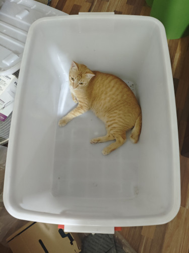 Box