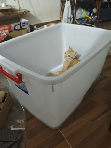 Box