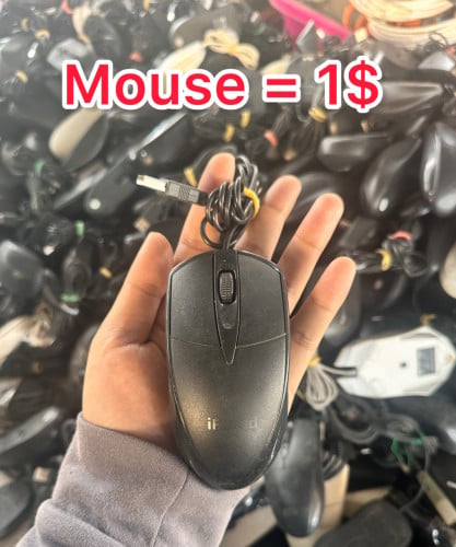 Mouse