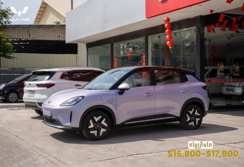 Wuling Bingo S