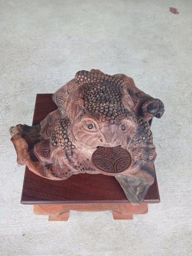 គីង្គក់ជើងបីធ្នង់សាច់កណ្តាញ់