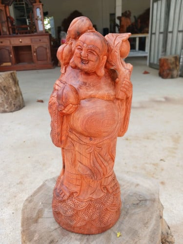 គីង្គក់ជើងបីធ្នង់សាច់កណ្តាញ់