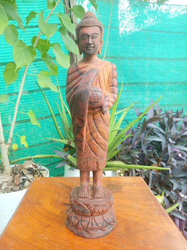 គីង្គក់ជើងបីធ្នង់សាច់កណ្តាញ់
