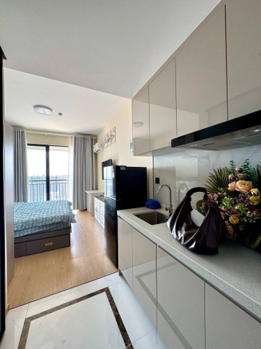 Beautiful studio condo pinnacle