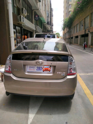Car rentals