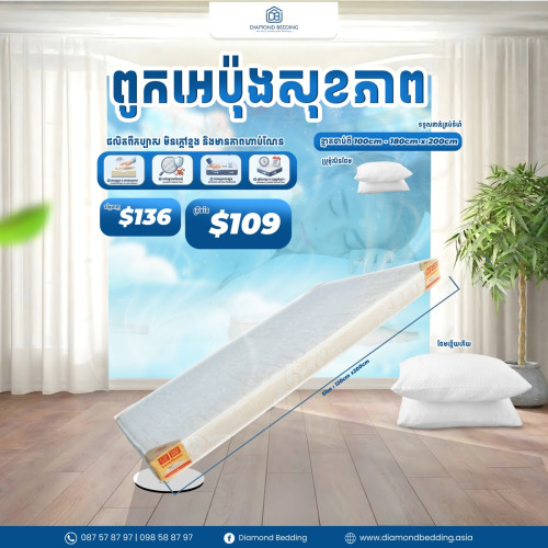 Foam Mattress