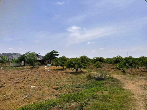 House Available for Urgent Sale at a Special Price (Negotiable).