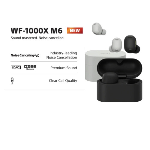 Sony WF-1000XM6
