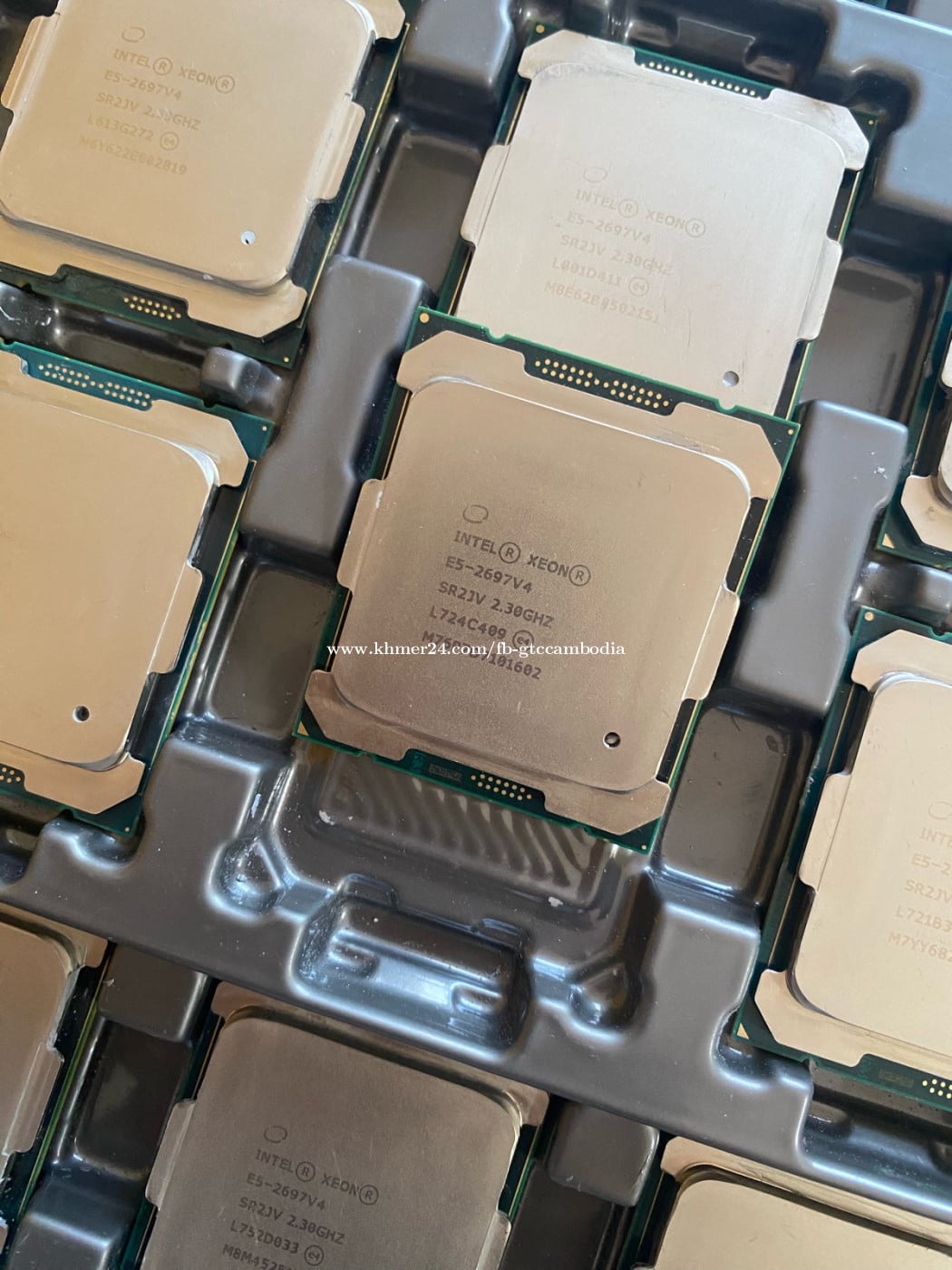 CPU Intel Xeon E5-2697V4 មួយទឹក