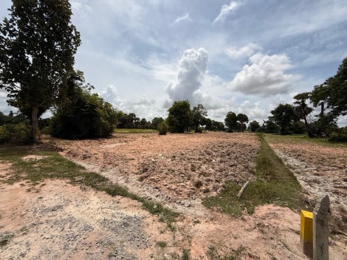 ដីស្រែលក់ផ្លូវមុខក្រោយ ក្បាល 30 x 100
