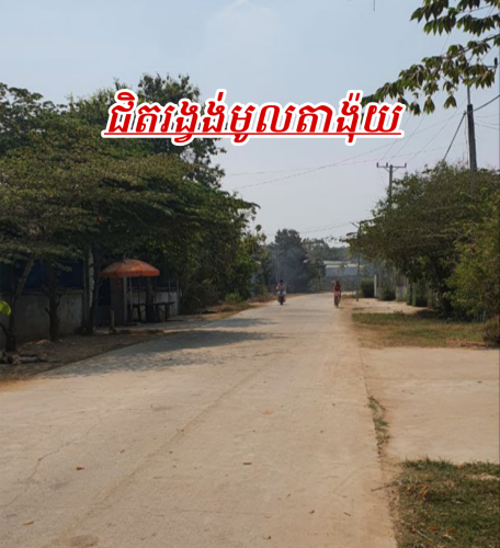 ដីលក់បន្ទាន់នៅលើផ្លូវបេតុង16ម៉ែត្រ_សង្កាត់ឳឡោក_ជិតរង្វង់មូលក្រមង៉ុយ