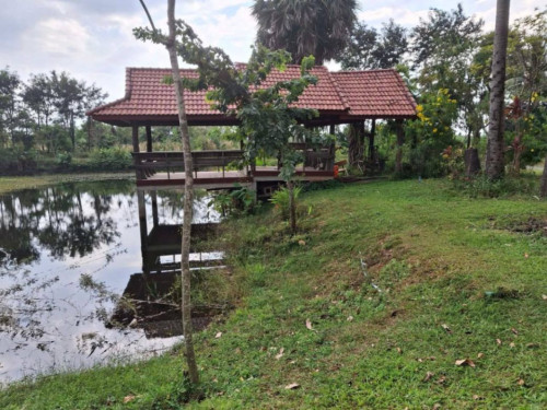 ๐ฆLand Available for Urgent Sale at a Special Price (Negotiable).